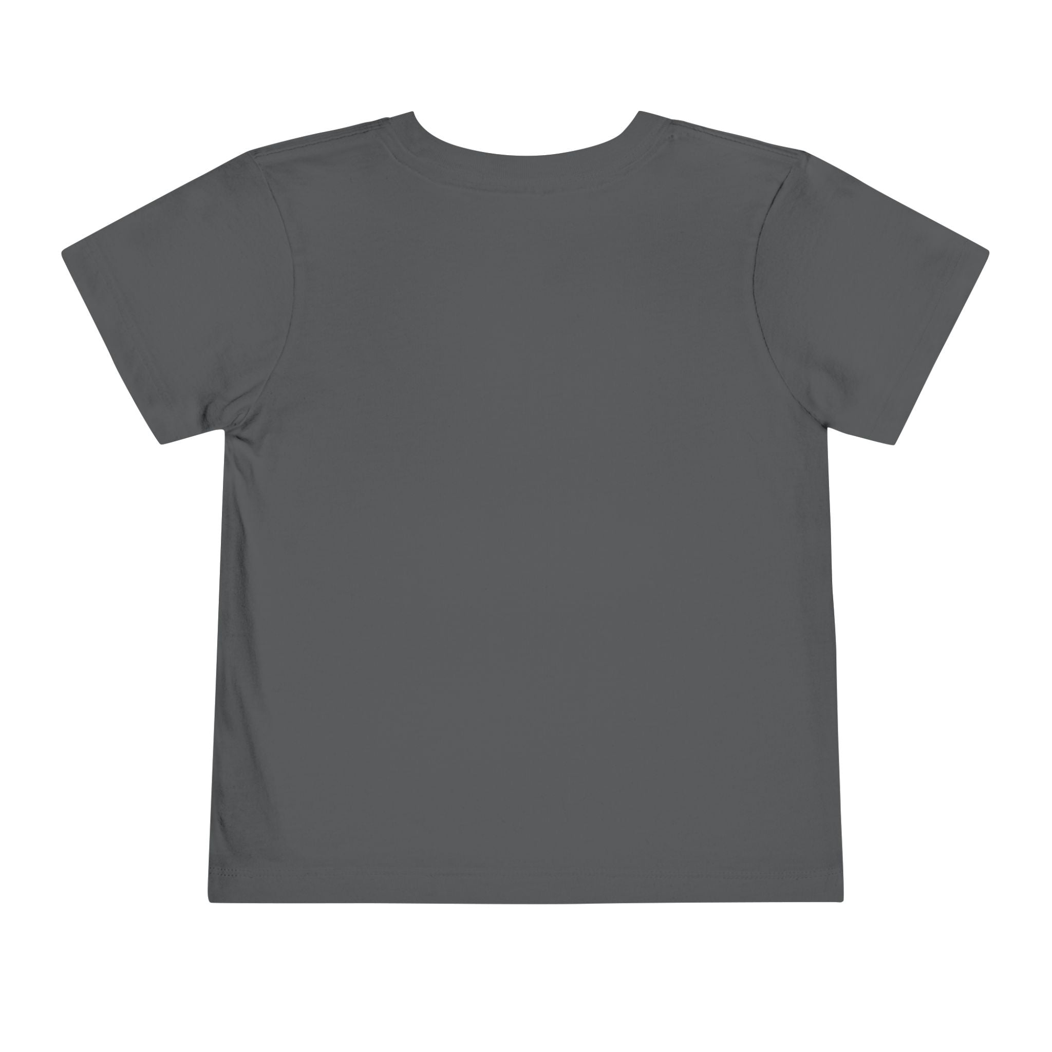 Toddler Tee — "Jesus the Way the Truth the Life" Christian Kids Shirt