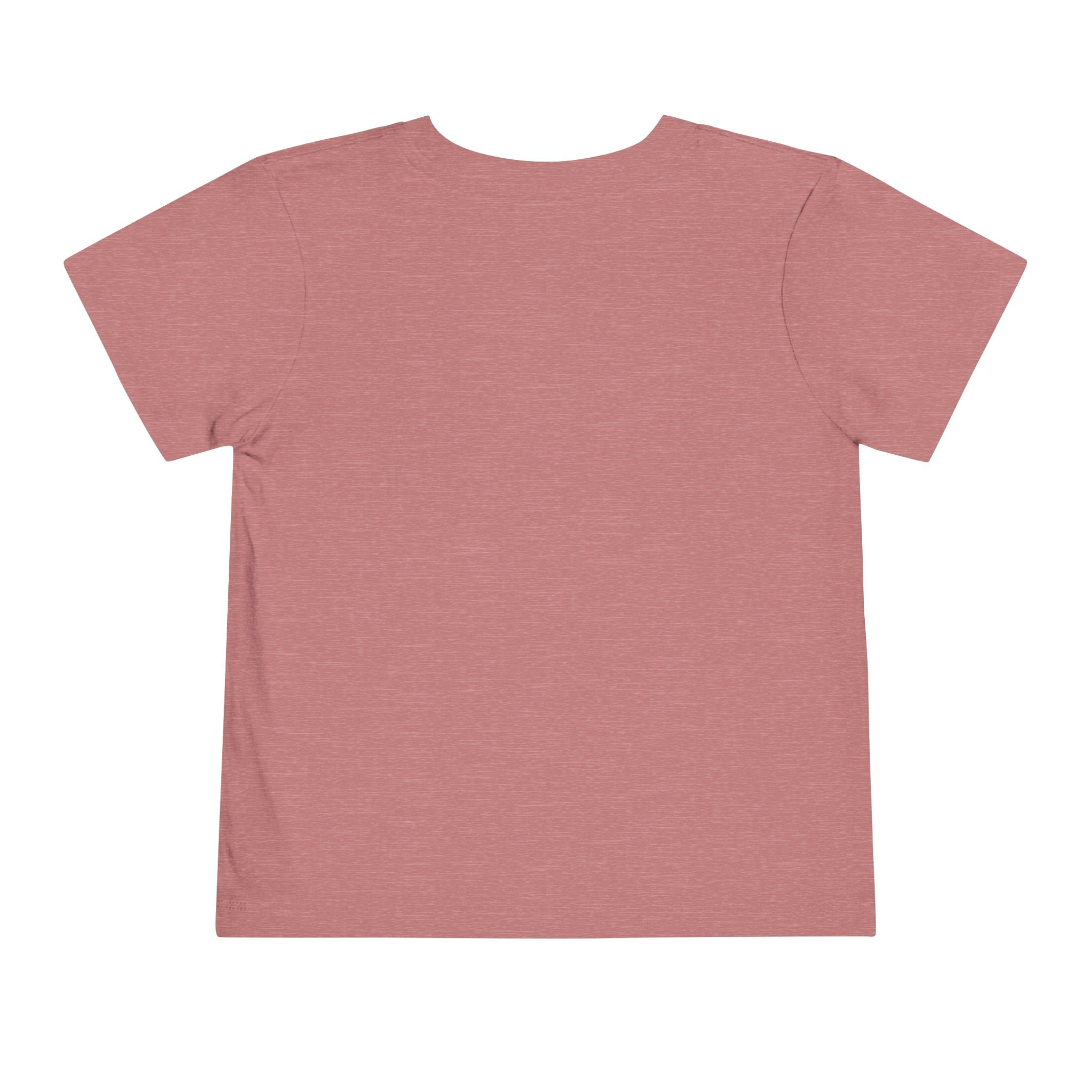 Toddler Tee — "Jesus the Way the Truth the Life" Christian Kids Shirt